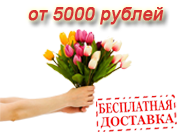 Besplatno_5000_Rub